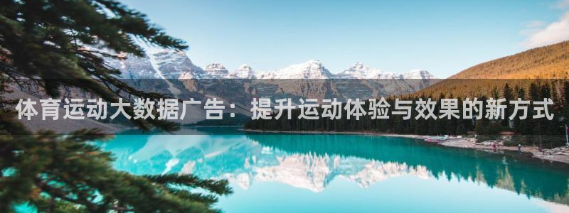 k1体育网址是多少