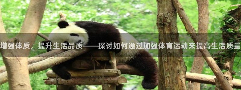 k1体育棋牌网址：增强体质，提升生活品质——探讨如何通过加强体育运动来提高生活质量