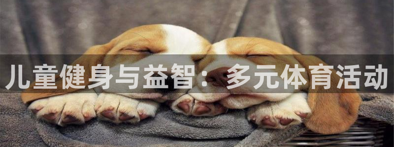k1体育十年品牌值得信赖：儿童健身与益智：多元体育活动