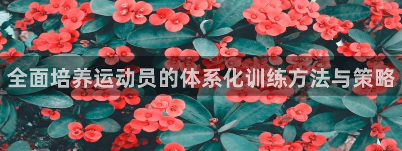 k1体育十年品牌官网：全面培养运动员的体系化训练方法与策略