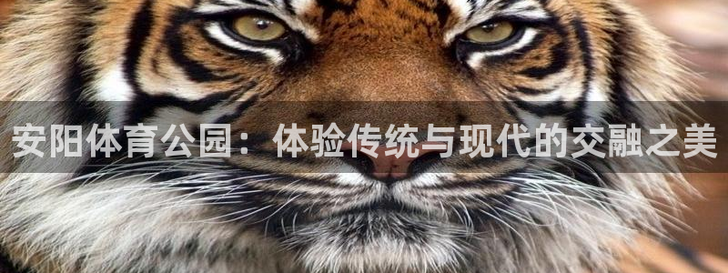 k1体育十年平台