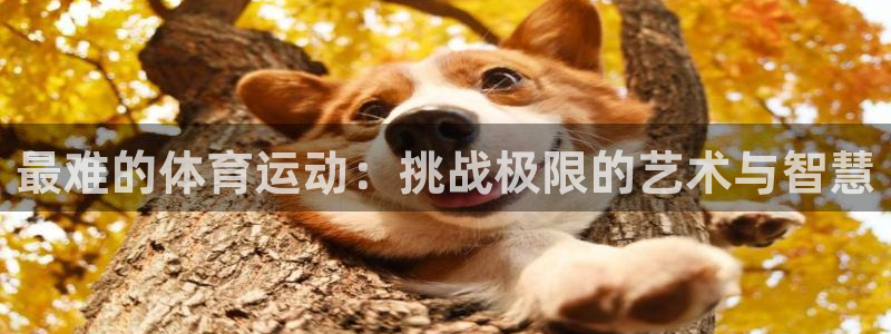 k1体育十年平台：最难的体育运动：挑战极限的艺术与智慧
