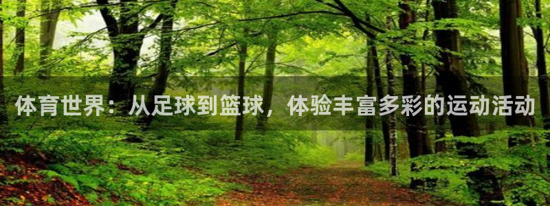 k1体育链接多少：体育世界：从足球到篮球，体验丰富多彩的运动活动