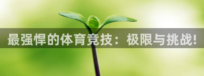 k1体育平台最新网站下载