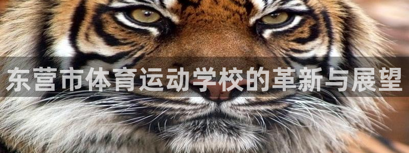 k1体育下载地址：东营市体育运动学校的革新与展望