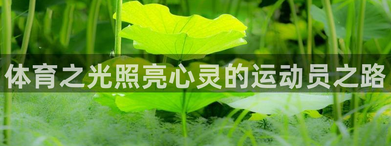 k1体育下载地址：体育之光照亮心灵的运动员之路